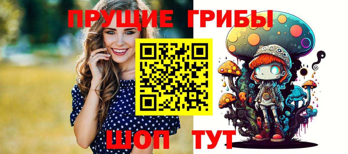 Карталы  Галлюциногенные грибы Psilocybe  Вход с VPN 